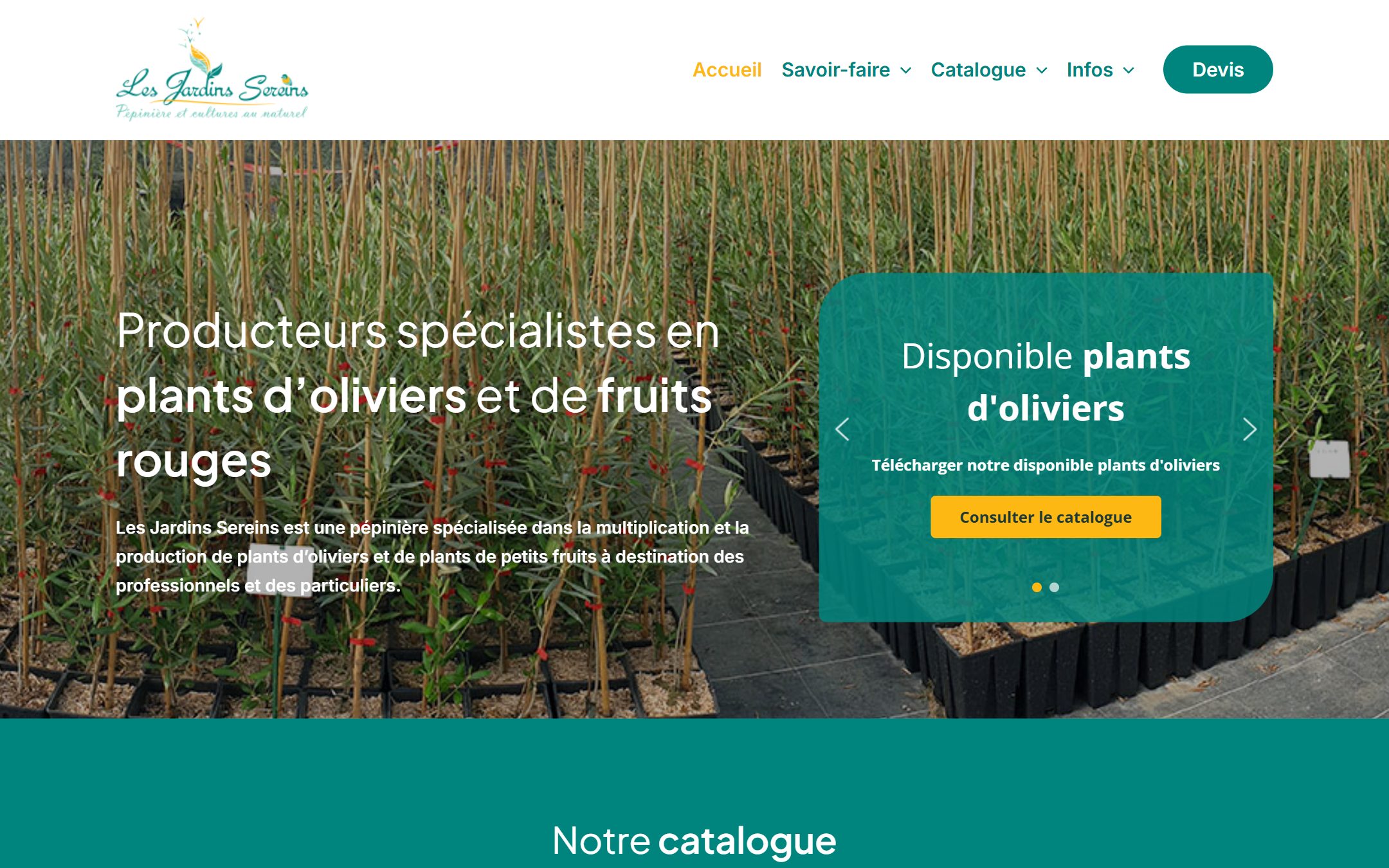 Site Les Jardins Sereins — version ordinateur