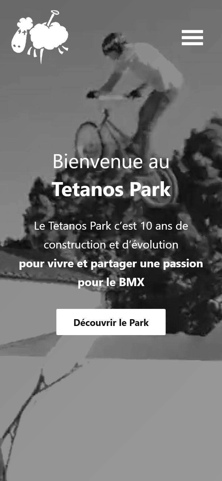 Site Tetanos Park sur téléphone